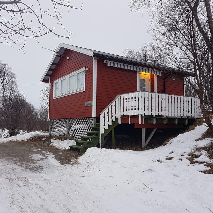 Camp Saltstraumen-Elvegard Hotel Bodo Bagian luar foto