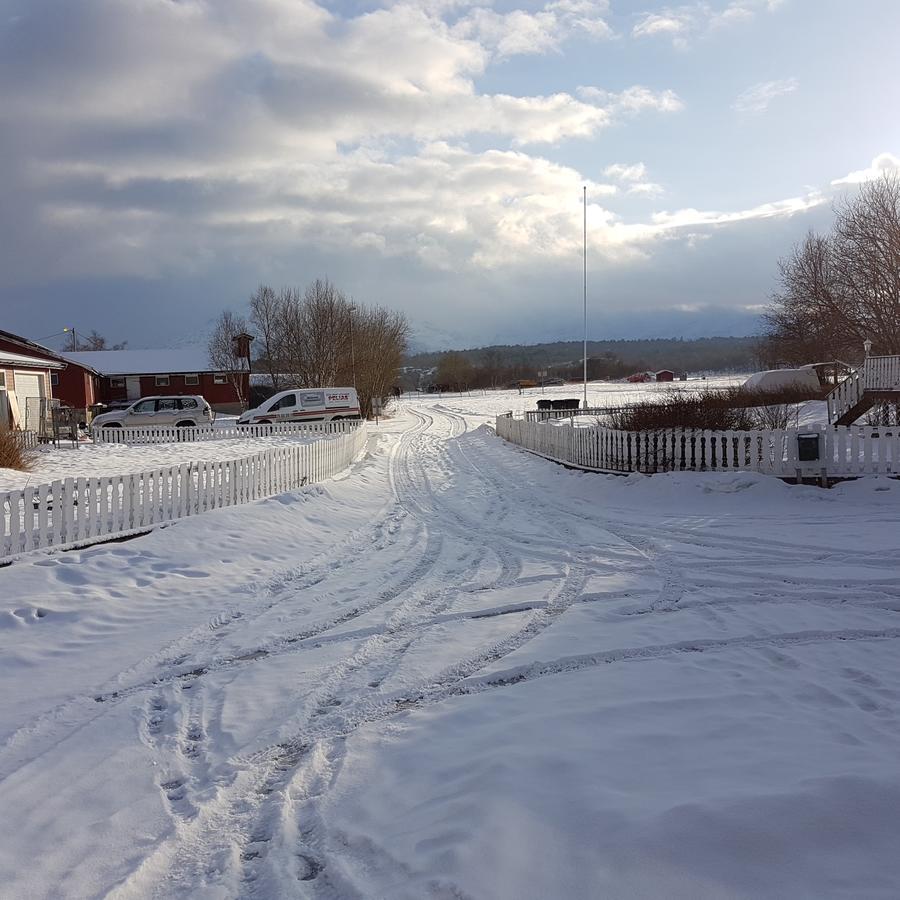 Camp Saltstraumen-Elvegard Hotel Bodo Bagian luar foto