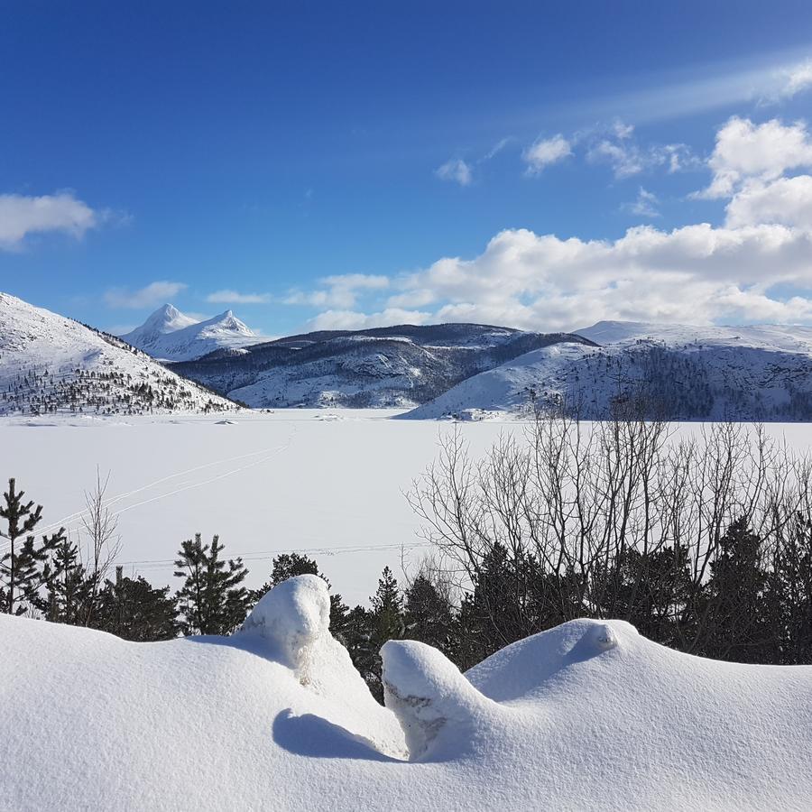 Camp Saltstraumen-Elvegard Hotel Bodo Bagian luar foto