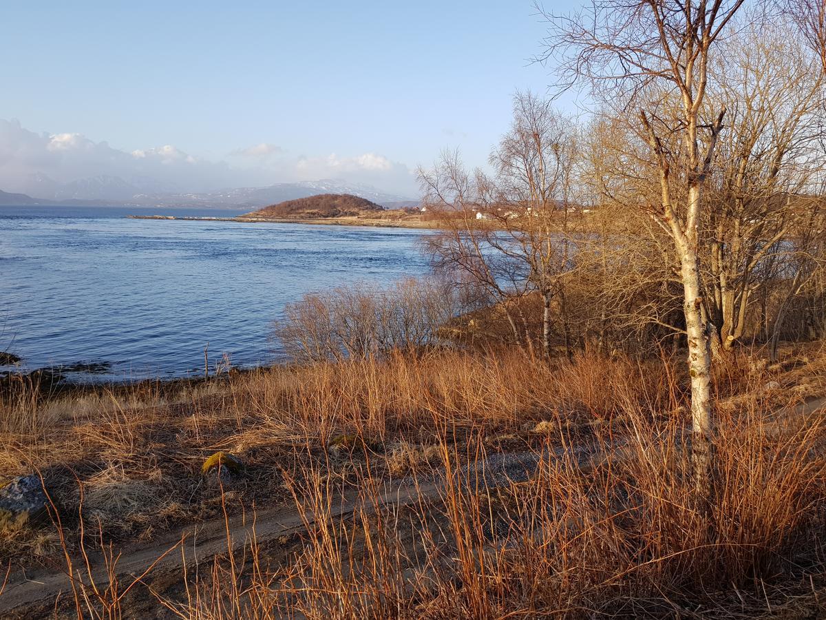 Camp Saltstraumen-Elvegard Hotel Bodo Bagian luar foto